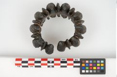 Foto von Bronzebuckelarmreif (NHMW-PRAE-025851)